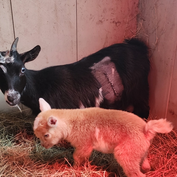 Meet your Posher, Mary - Picture 8 of 16